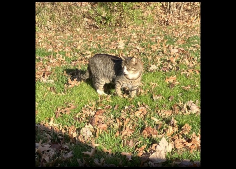 4nimalistic - Killing Time - Rap Olympus Media